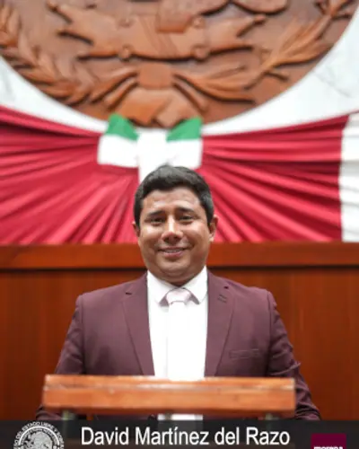 David Martínez del Razo