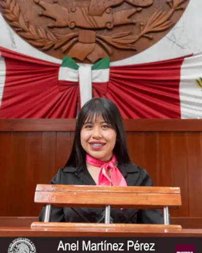 Anel Martínez Pérez