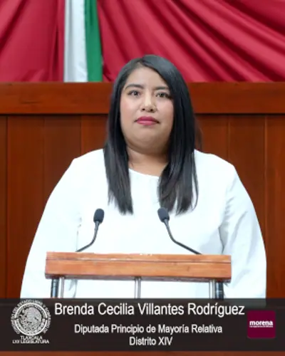 Brenda Cecilia Villantes Rodríguez